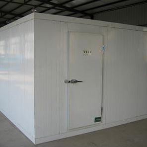 龙在九州官方网站入口