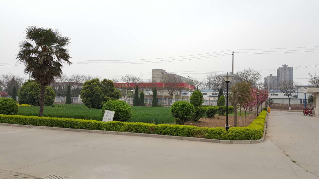 九州官方网站入口